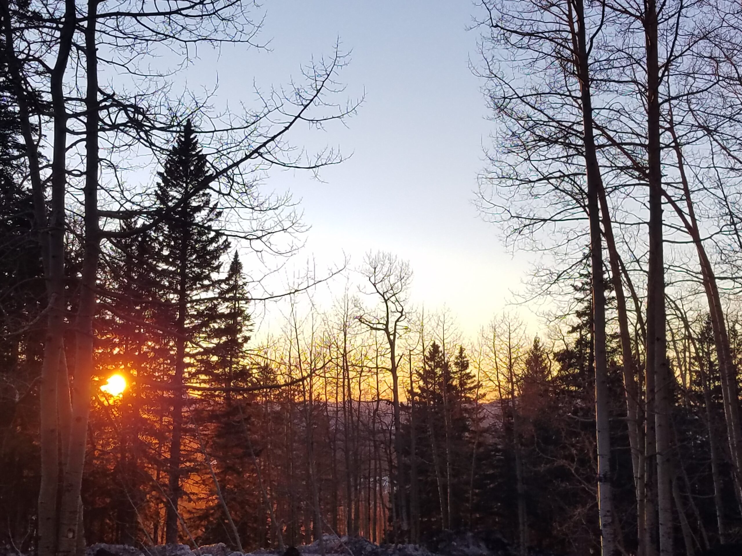 Nature and healing