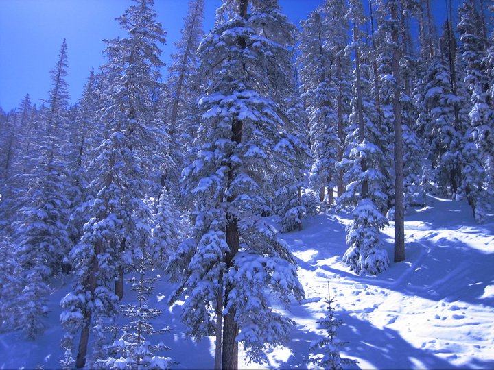 Cheri outdoors